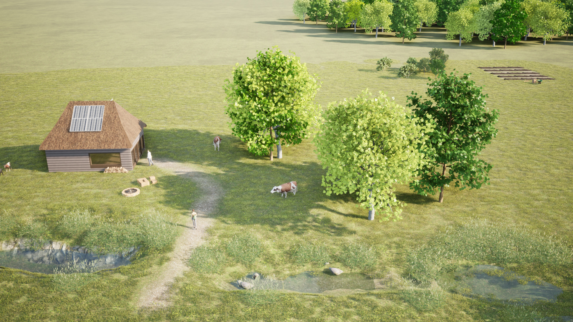 doezum-6 - Blog Tiny Findy Off-grid met Britt Koopmans